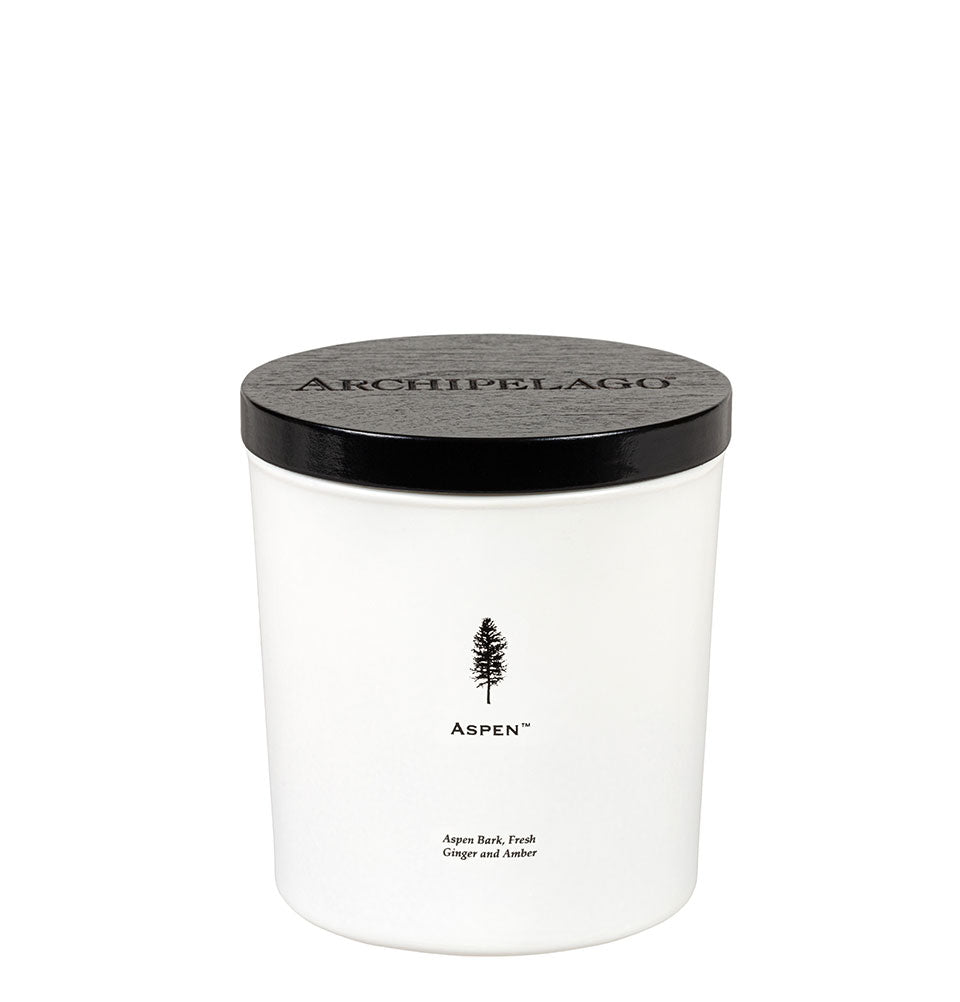 Two Wick Luxe Candle 13 oz Aspen