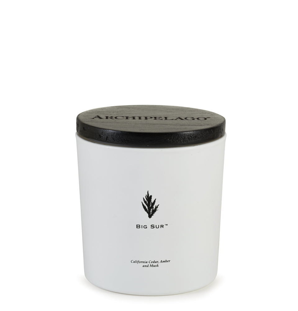 Two Wick Luxe Candle 13 oz Big Sur
