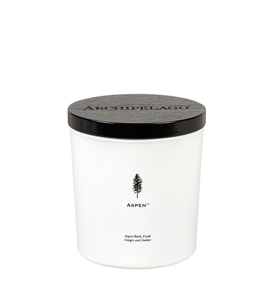 Two Wick Luxe Candle 13 oz Aspen