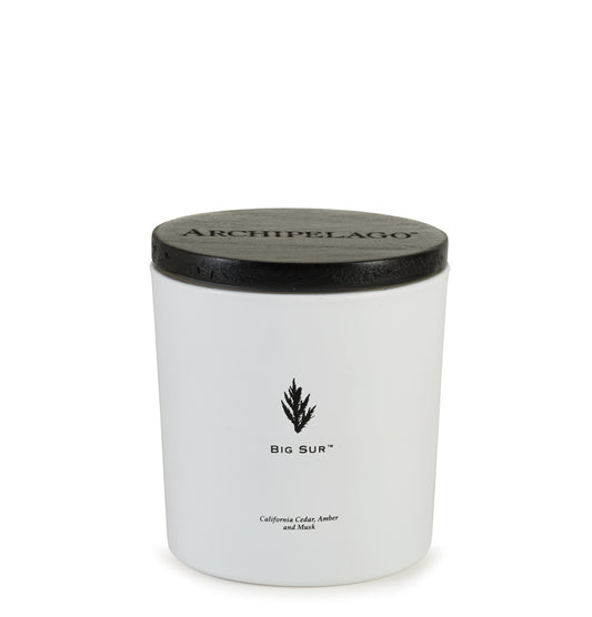 Two Wick Luxe Candle 13 oz Big Sur